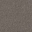 02fd8bed-f555-4a3e-8700-f425cc1b8673.webp