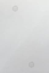 03a83232-d4aa-435c-b073-fcb1ab6b813e.webp