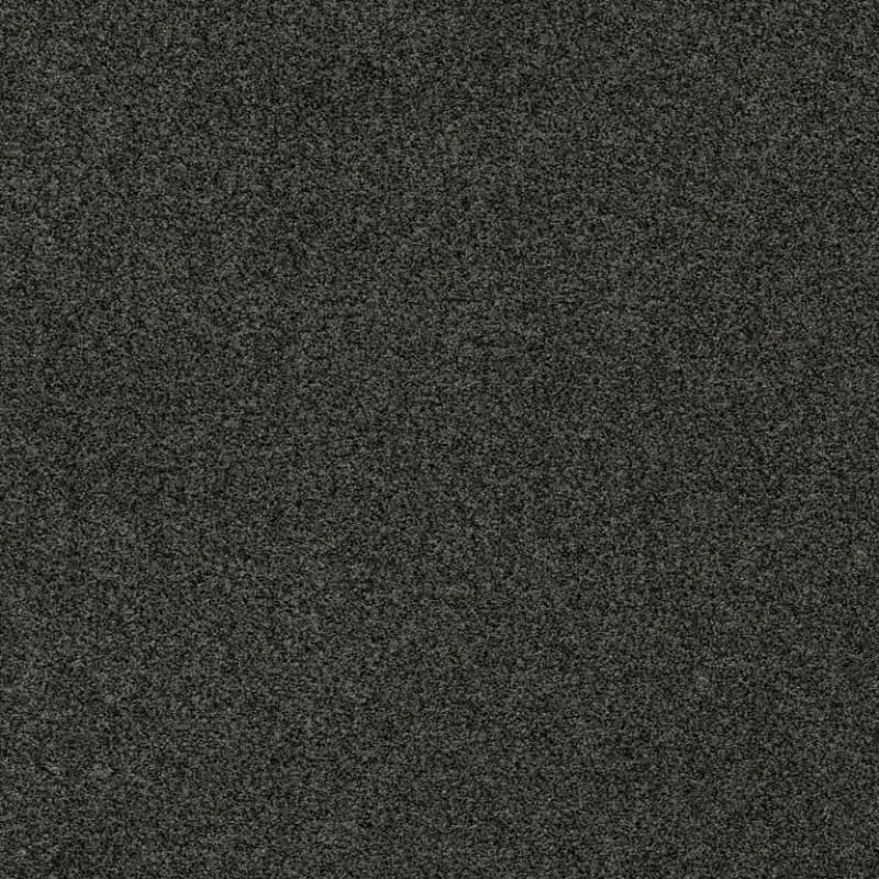 044cfbd3-50f5-4fef-9110-1cb7dd498f39.webp
