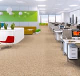0497d390-898d-49d2-aaed-a455ed422fd6.webp