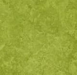 0a32f374-5b81-4850-91fa-2f8954c3503b.webp