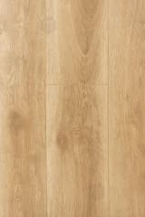 0e51601e-f6ca-4b3a-81b7-4d9cde5dfa92.webp