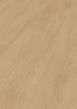 0f41726e-8329-4eba-84e3-5017cd7ba197.webp
