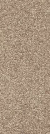 10dbd871-cd5b-4d5a-ae09-b4f8221fcd17.webp