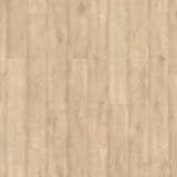 1398b70a-2c80-4a65-9f6b-6c4e094741a6.webp
