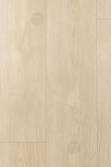 13a00258-347f-43e9-a208-dd48d1869035.webp