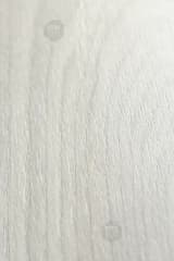 1613c65f-ca7f-41b8-9f70-6380c3063f8a.webp