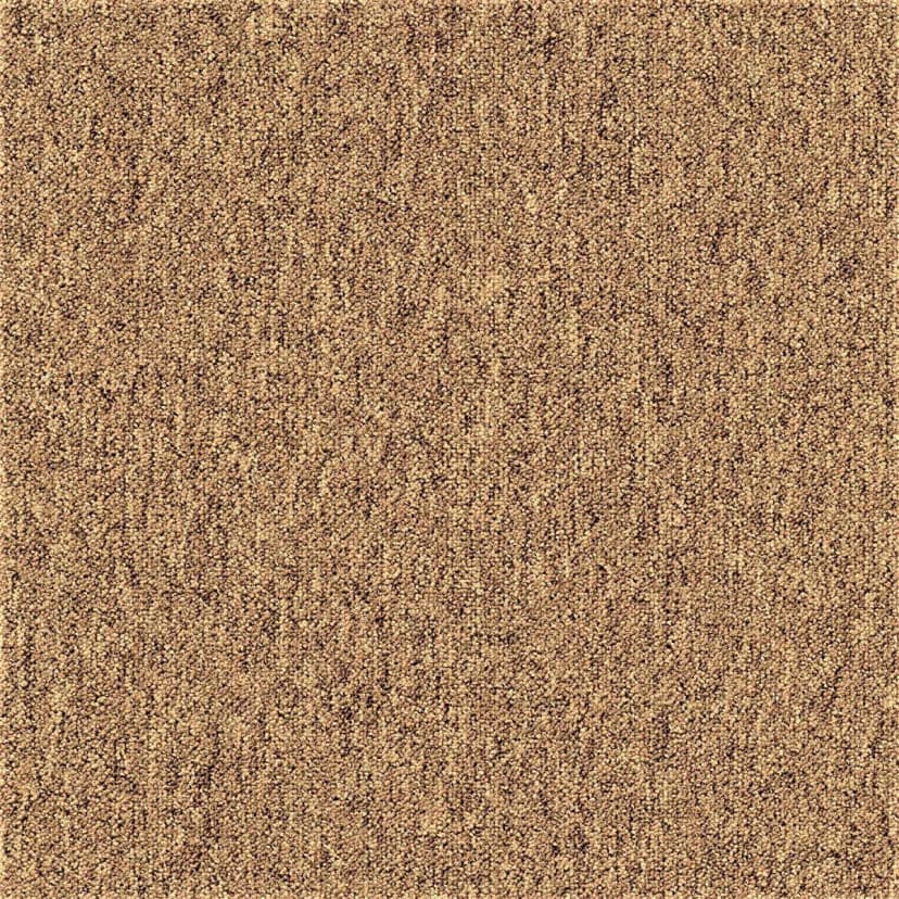 1737606f-ee78-4e65-9570-d7ad71b7c507.webp