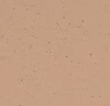 18eeb97d-0675-4886-8dcc-4ceea51a9f2d.webp