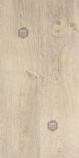 1aa89619-7509-405e-bd45-64296f23f885.webp