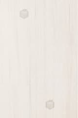 21b8be93-c369-4af0-b3cd-9709ae07c333.webp