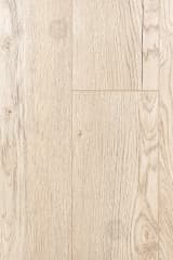 23326d5d-70ea-409c-b794-97c1bbb14396.webp