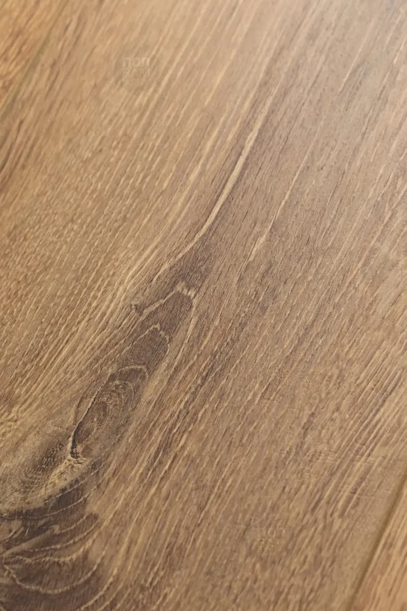 27c356c9-81e6-4411-9f44-ab890353b3e5.webp