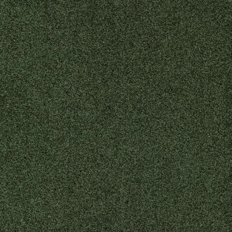 2a6106ea-da34-4bd8-9b0b-97fe8b0d72f1.webp