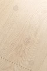 2b878545-d87f-4e3f-8d3a-e897bbda4621.webp