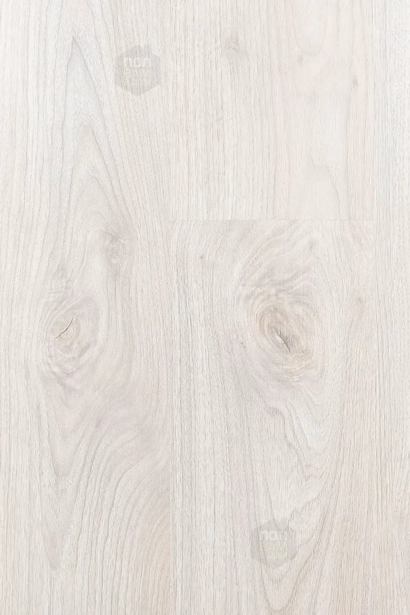 2c75a846-744d-4396-8b36-718739c176c6.webp