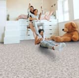 2cc96b29-ae15-4655-8592-1e6cba4debce.webp