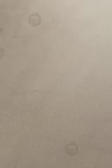 31065623-7ffd-4e25-a628-5427ff1266ac.webp
