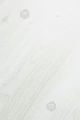 31645046-42c5-4f4e-b8a5-313c5b2a7457.webp