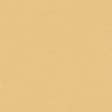 34cec142-d202-4957-83bb-8ba36a40a1a4.webp