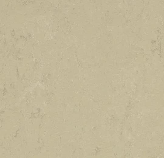 40487577-2b6c-4ca0-ad42-0184c3c96fad.webp