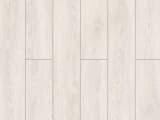 407ec9d7-5fff-4238-b3e3-e390914cc1e7.webp