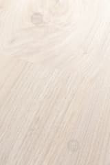438d2608-9430-4b34-84bb-71134ff2e465.webp