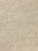 4450e874-3ea4-4313-baf0-8f9f828a46e4.webp