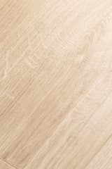 45ce4925-94f2-4624-90fd-03ad94ad3858.webp