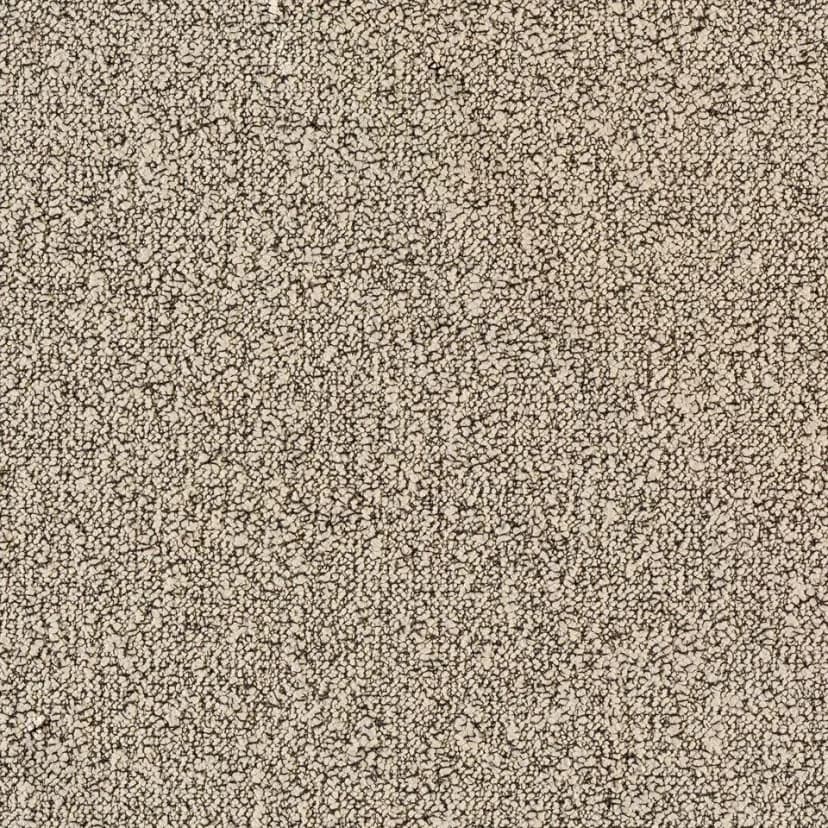 467e667b-ee7d-4b4a-9570-4e149a2fc855.webp
