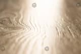4af50f9f-fec0-4e54-9554-cd1ba1c06e9a.webp