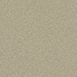 54143565-a101-4850-870a-850a07d2ac76.webp