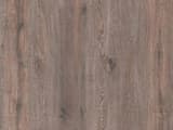 550e4846-5ddd-4c0f-888a-2922dba64f81.webp