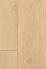 56f9fffe-d509-4b11-ab53-8db145971240.webp