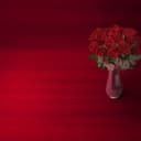 62221220-640e-487f-9e88-e4fe222f24bd.webp