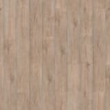 623f9809-ecb4-4a63-be65-8fa9615e0895.webp