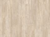 6732abaf-628b-4dee-a103-39f1c13c46d5.webp