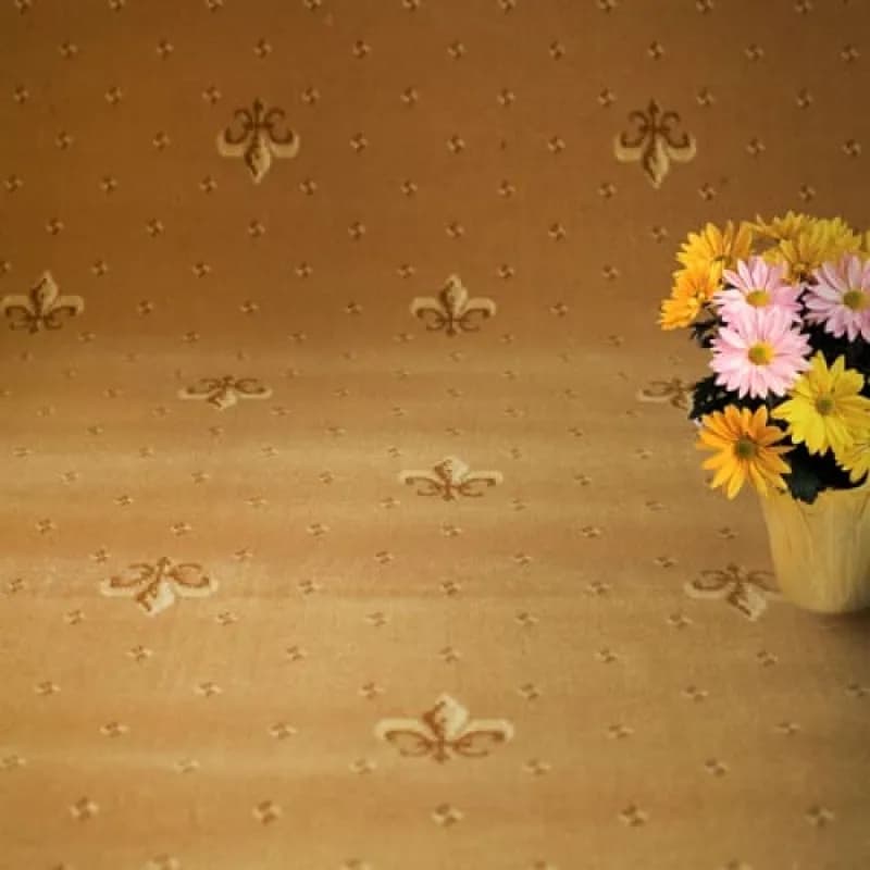 67b23f85-9f21-4838-8be6-d9355d9c5fa9.webp