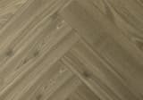 6c1e0aa8-3604-41a9-9c64-581864613c11.webp