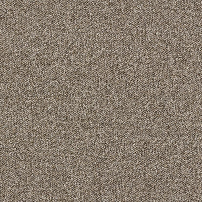 6cb7665e-1a33-4d88-bcc4-29b0ac235479.webp