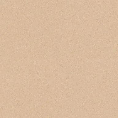 6fa412e4-f588-4c90-90fc-a1be40d7eb4a.webp