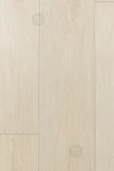 70fa3649-abb2-4297-9149-6fe639b26fa8.webp