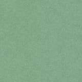 73d34183-2da7-4fa9-ab0f-46fde2de6acb.webp
