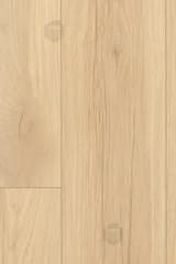 7c6bdb9c-1157-40b3-9b19-557230c200ea.webp