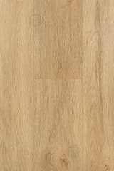 7f6cfa39-75ae-4307-8543-a6444cedbaf2.webp