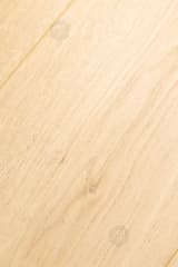 8845a637-e108-4dab-b9ad-5d999e567442.webp
