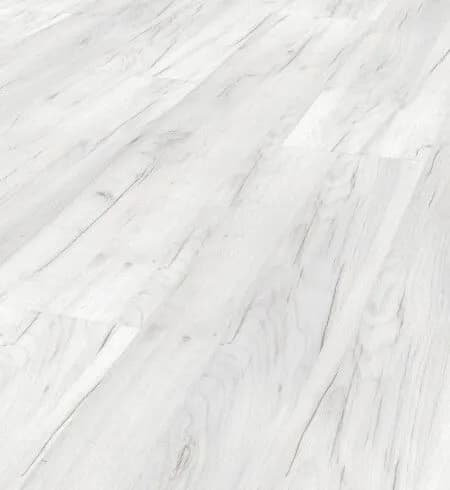 8aab3dbc-b405-4ddb-b9e5-26c95d3b908b.webp