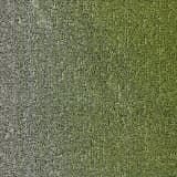 8c19ac1f-8076-40e5-8157-d5633727e1e8.webp