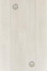 8e4a1038-37d9-449c-bb12-5edb5272f8f9.webp