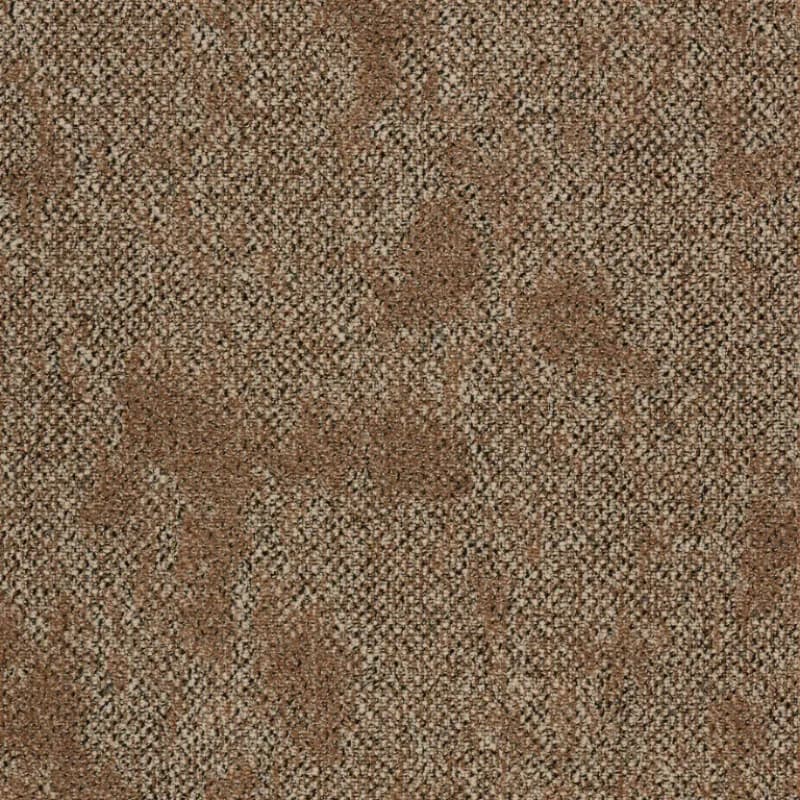8ec4c580-6a86-4d14-9ead-d1f302cedc6e.webp